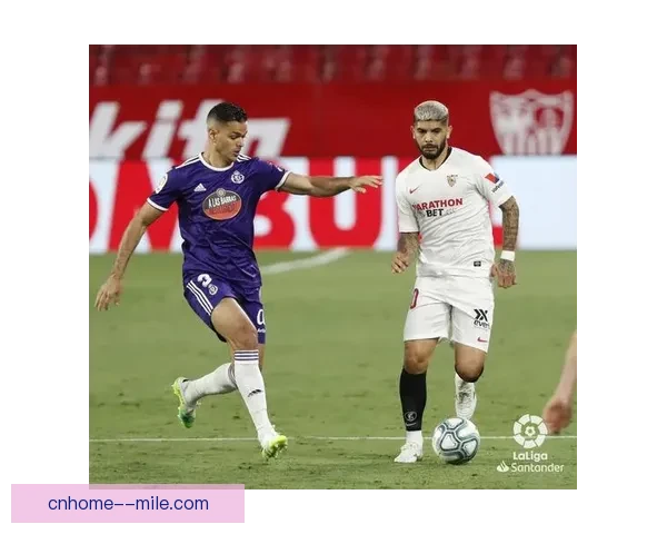 巴拉多利德经历惊险升降历程成功重返西甲展现韧性与实力