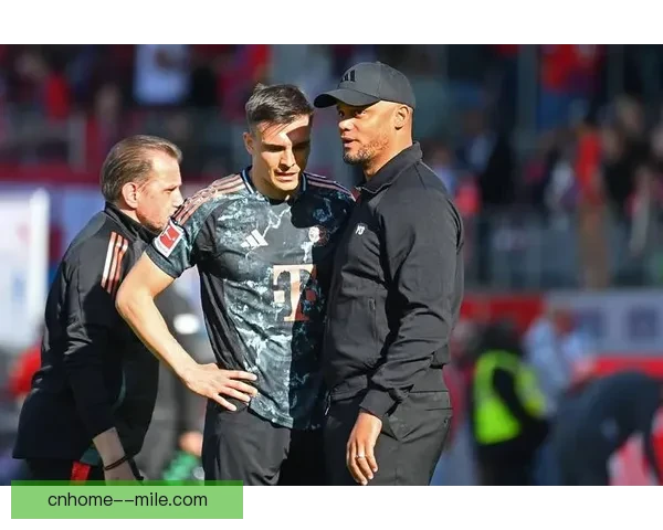 拜仁慕尼黑斥资五千万欧完成若昂帕利尼亚压哨转会富勒姆